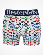 Resteröds Boxer