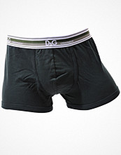 Dolce & Gabbana Ton Sur Ton Boxer Green
