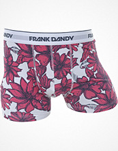 Frank Dandy Fairmont Raspberry