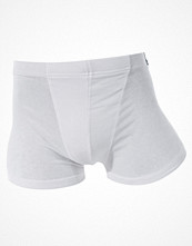 Red Collar Project Kristoffer White Boxers