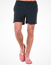 NN07 Beck Swimwear Navy