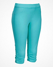Happy Holly Treggings