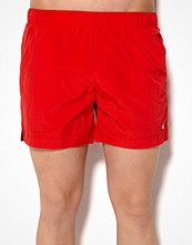 Champion Shorts