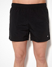 Champion Shorts