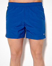 Champion Shorts