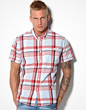 Frank Q Shirt