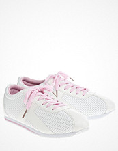 Have2have Sneakers, Tea