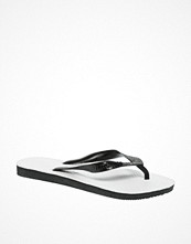 Havaianas Traditional Basic Flip Flops