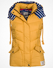 Joules CHARMWOOD Gult