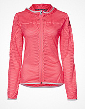 Adidas Performance CC R.RUN JKT Orange