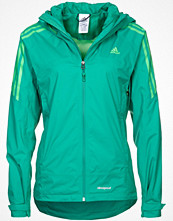 Adidas Performance Regnjacka Grönt
