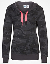 Adidas Originals Luvtröja Grått