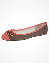 Chocolate Schubar CALA Brunt