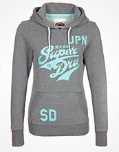 Superdry Luvtröja Grått