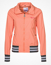 Bench SCHOLARY Orange