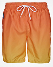 Panuu OCEAN Orange