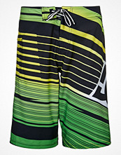 DC Shoes EXHAUST Gult