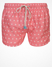 Oiler & Boiler MINI STARS Orange