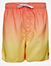 Rip Curl COURTSIDE 16" VOLLEY Gult