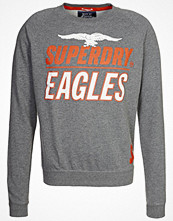 Superdry Sweatshirt Grått