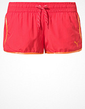 Puma Shorts Rött