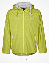 Quiksilver AEROPLANE Grönt