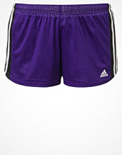 Adidas Performance Träningsshorts Lila