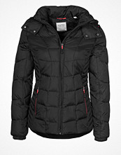 Esprit Sports Vinterjacka Svart