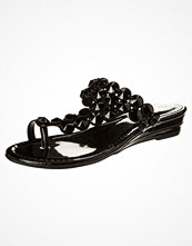 Vince Camuto ITTA Svart