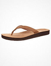 Teva COZUMEL Brunt