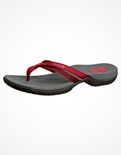 Teva TIRRA THONG Rött