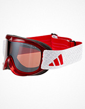 Adidas Performance PINNER Rött