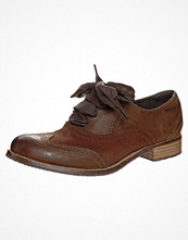 Sebago CLAREMONT BROGUE Brunt