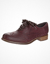 Sebago CLAREMONT BROGUE Rött