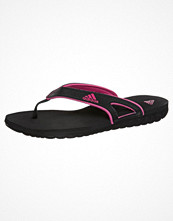 Adidas Performance CALO 5 Svart