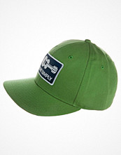 Patagonia ROGER THAT HAT Grönt