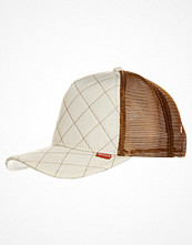 Djinns HUNTER Beige