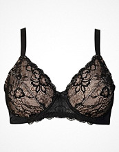 bpc selection Minimizer-BH, D-kupa