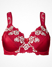 bpc selection Minimizer-BH, F-kupa