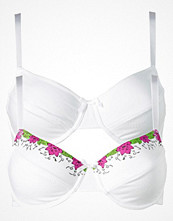 bpc bonprix collection BH (2-pack), D-kupa