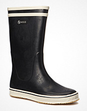Aigle Malouine