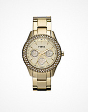 Fossil Stella