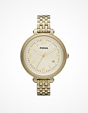 Fossil Heather