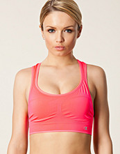 Champion Seamless Dazel