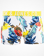 Jack & Jones Retel Trunks