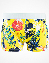 Jack & Jones Retel Trunks