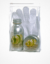 Greenland Giftpack Lime-Vanilla
