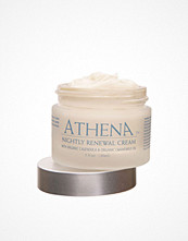Adonia Nightly Renewal Cream