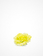 Pieces Gupo Brooch