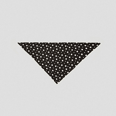 Zara prickig scarf